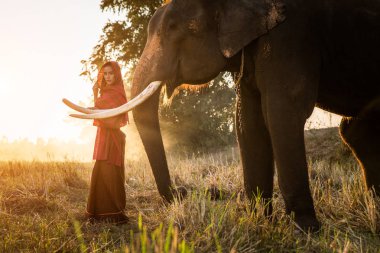 Tayland fil ve kadın