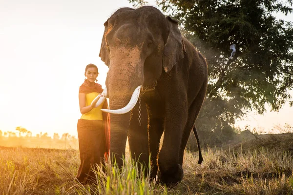 Слон і жінка в Таїланді — стокове фото