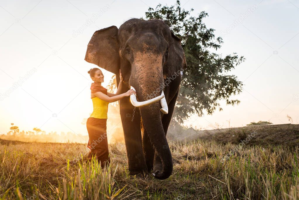 Elephant and woman in Thailand