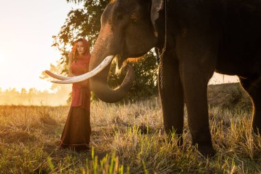 Tayland fil ve kadın