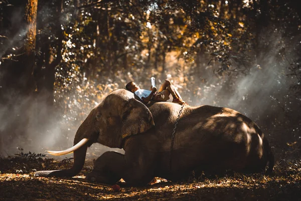 Éléphant et écolier en Thaïlande — Photo