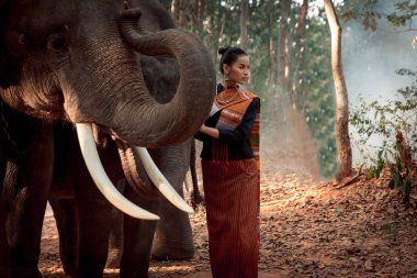 Tayland fil ve kadın