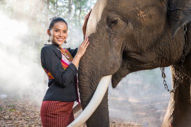 Tayland fil ve kadın