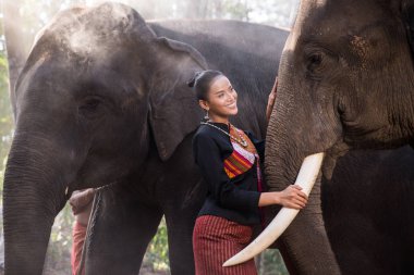 Tayland fil ve kadın
