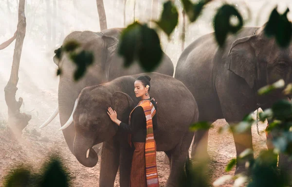 Elefante e donna in Thailandia — Foto Stock