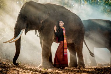 Elephant and woman in Thailand clipart