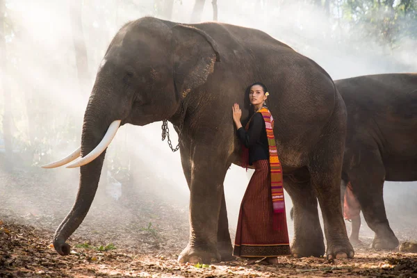 Elefante e mulher na Tailândia — Fotografia de Stock