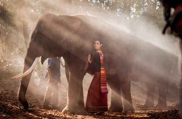 Tayland fil ve kadın — Stok fotoğraf