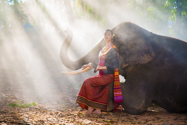 Elefante e donna in Thailandia — Foto Stock