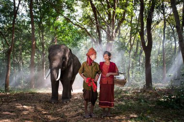 Tayland fil ve kıdemli çift