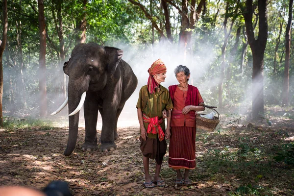 Elefante e coppia di anziani in Thailandia — Foto Stock