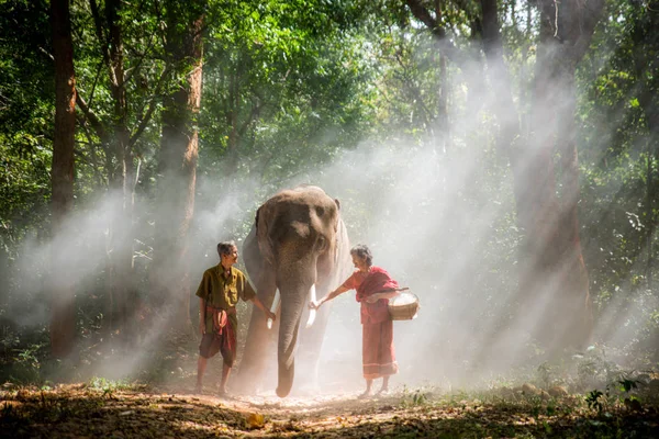 Elefante y pareja de ancianos en Tailandia — Foto de Stock