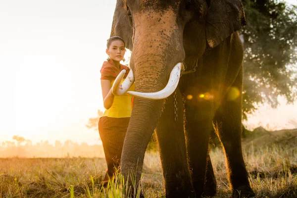 Elefante e donna in Thailandia — Foto Stock