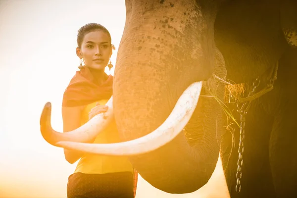Olifant en vrouw in Thailand — Stockfoto