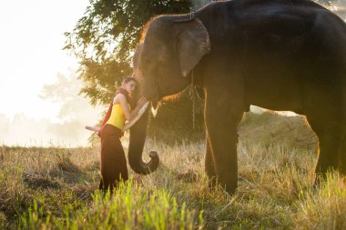 Tayland fil ve kadın