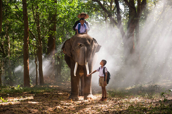 Elephant at sunrise in Thailand