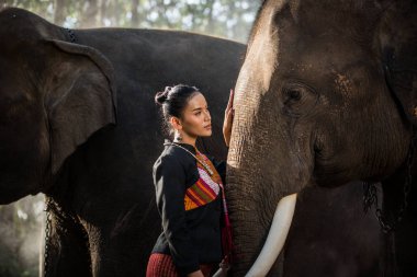 Tayland fil ve kadın
