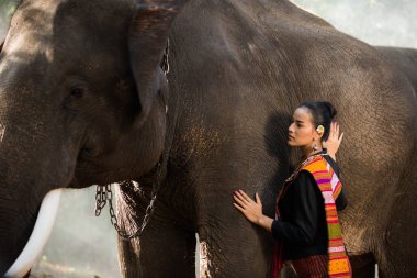 Tayland fil ve kadın