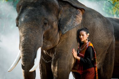 Tayland fil ve kadın