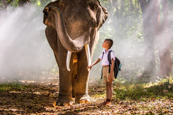 Elefant und Schuljunge in Thailand — Stockfoto