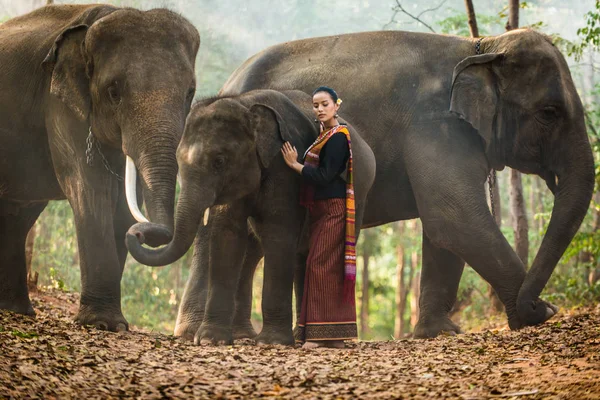 Elefant och kvinna i Thailand — Stockfoto