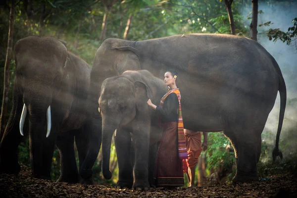 Elefante e donna in Thailandia — Foto Stock