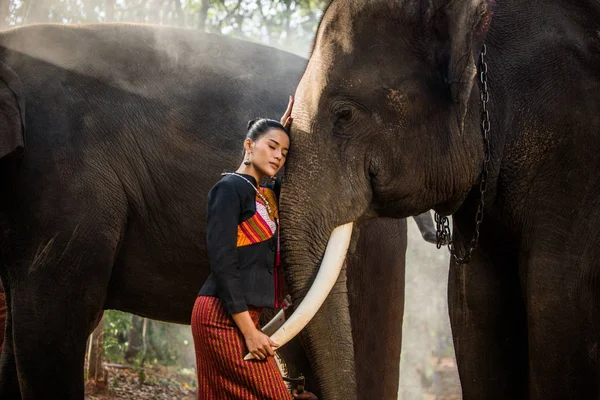 Elefante e donna in Thailandia — Foto Stock