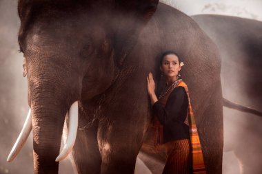 Tayland fil ve kadın