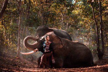 Tayland fil ve kadın