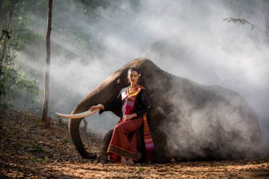 Tayland fil ve kadın