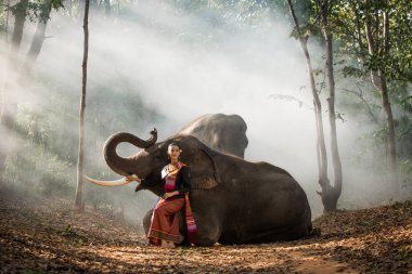 Tayland fil ve kadın