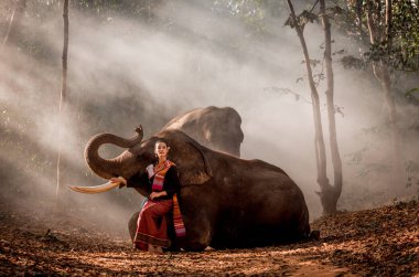 Tayland fil ve kadın