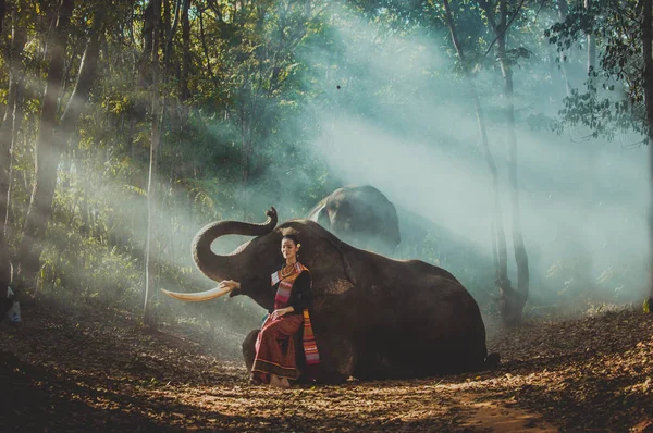 Elefant und Frau in Thailand — Stockfoto
