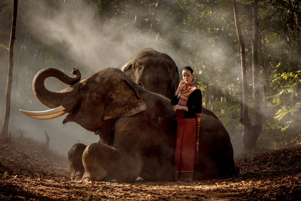 Tayland fil ve kadın