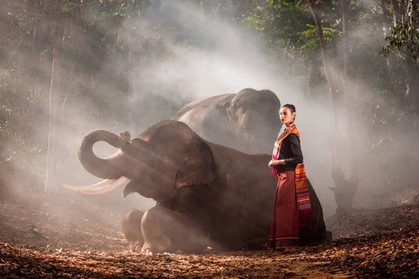 Tayland fil ve kadın