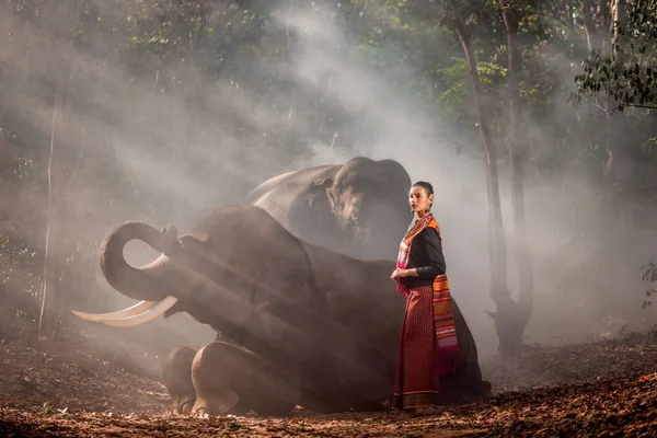 大象和女人在泰国 — 图库照片