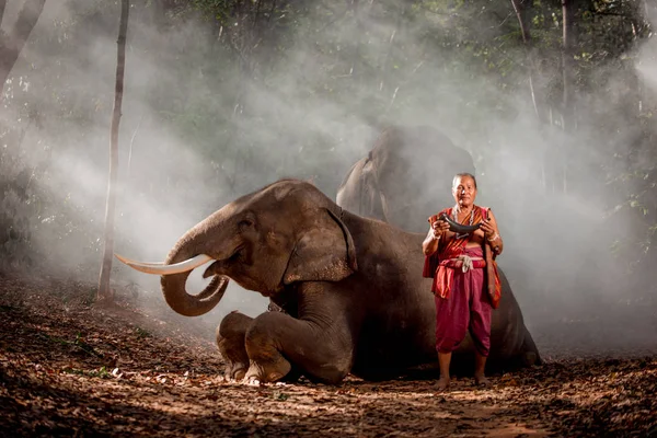 Homem Tailandês Tradicional Selva Com Elefantes — Fotografia de Stock