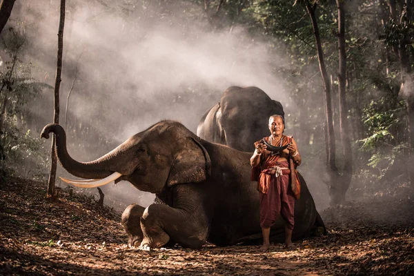 Hombre Tailandés Tradicional Selva Con Elefantes — Foto de Stock