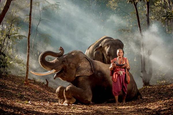 Ormanda filler ile geleneksel Tay adam