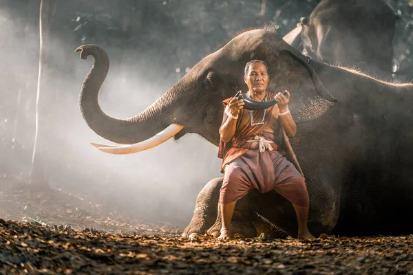 Traditional thai man in the jungle with elephants