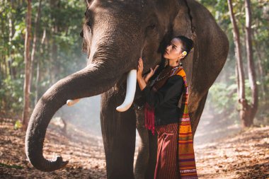 Tayland fil ve kadın