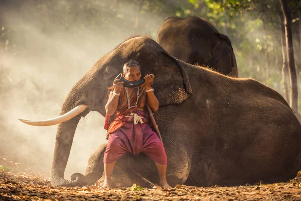 Hombre Tailandés Tradicional Selva Con Elefantes —  Fotos de Stock