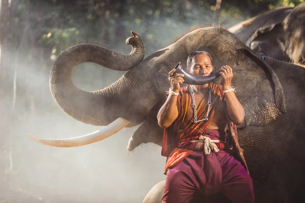 传统的泰国人与大象在丛林中 — 图库照片