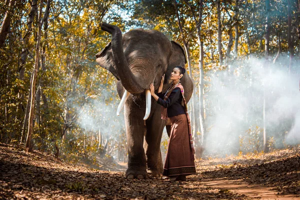 Elefante e donna in Thailandia — Foto Stock