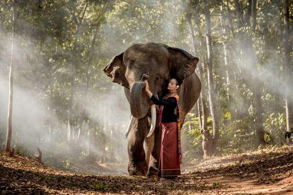 Elefante e donna in Thailandia — Foto Stock