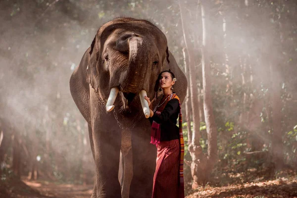 Elefante e mulher na Tailândia — Fotografia de Stock