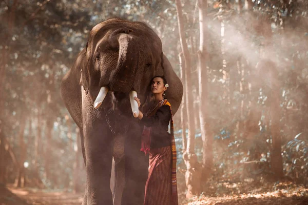 Elefant und Frau in Thailand — Stockfoto