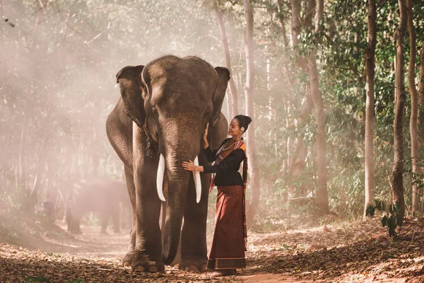Elefante y mujer en Tailandia —  Fotos de Stock