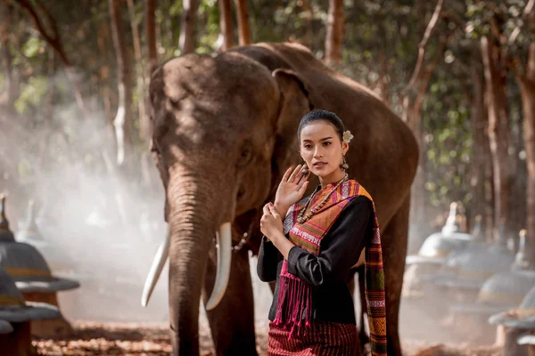 Tayland fil ve kadın — Stok fotoğraf