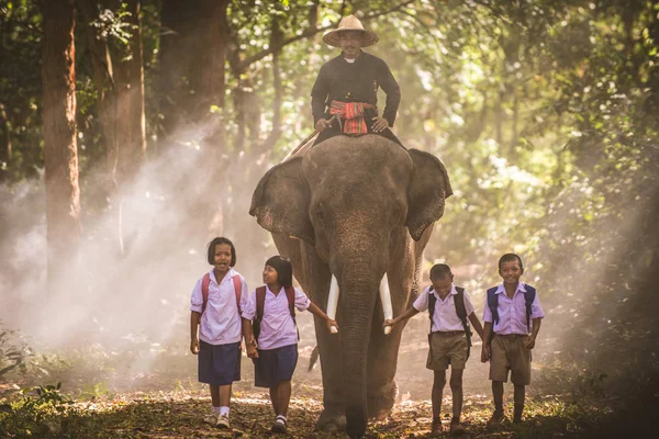 Elefante al amanecer en Tailandia — Foto de Stock